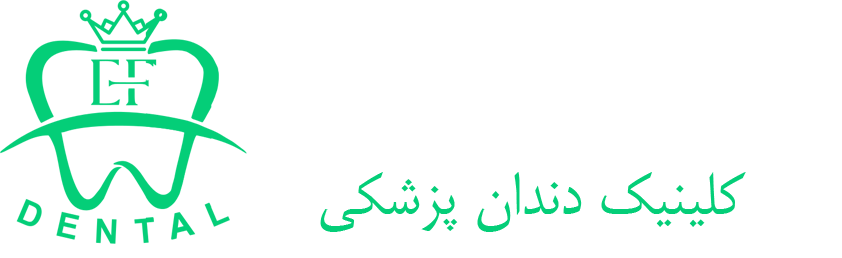 logo ebi fakoori